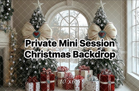 Christmas Mini Session 2026