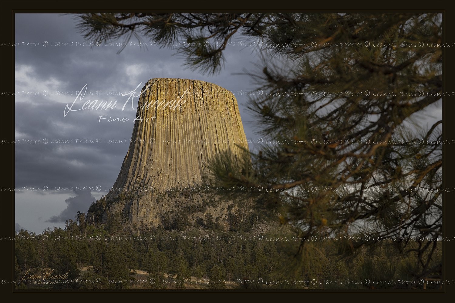 Devil's Tower, Wyoming