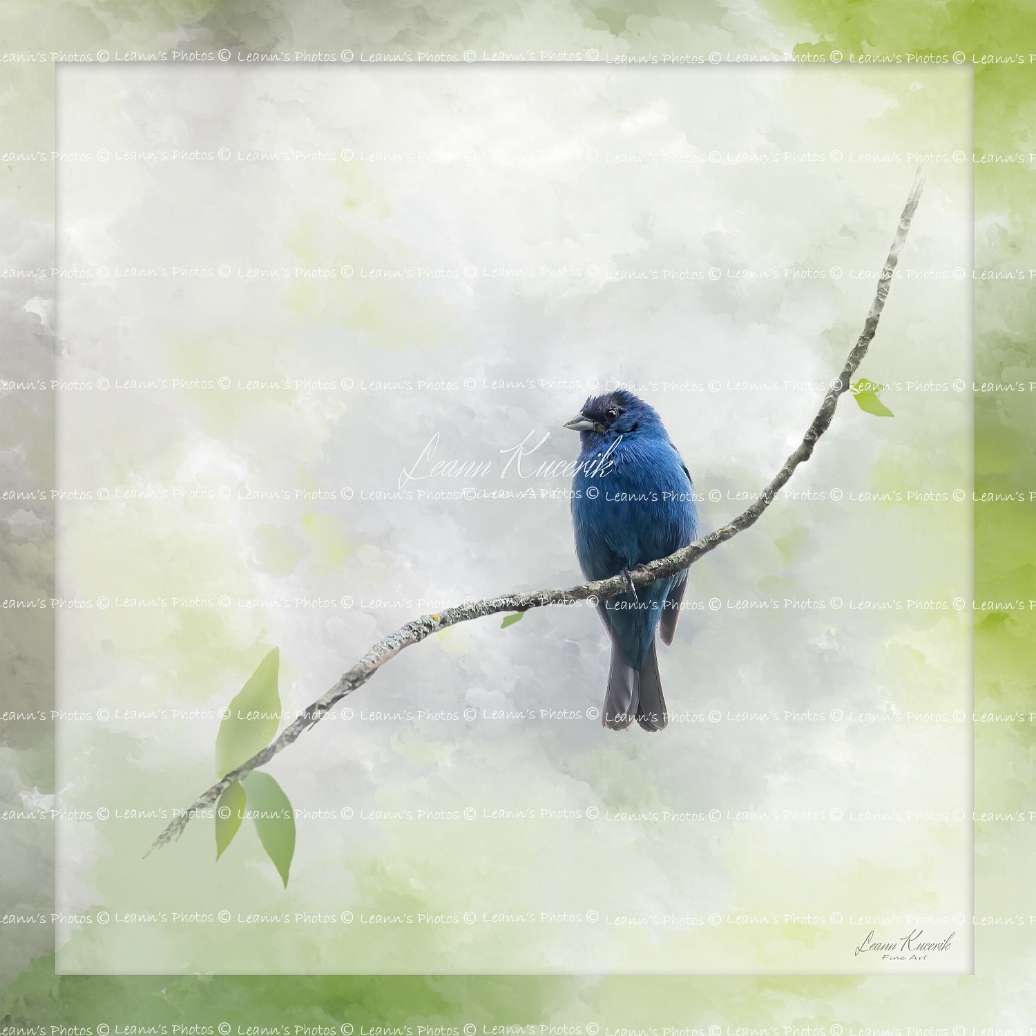 Indigo Whispers - Indigo Bunting