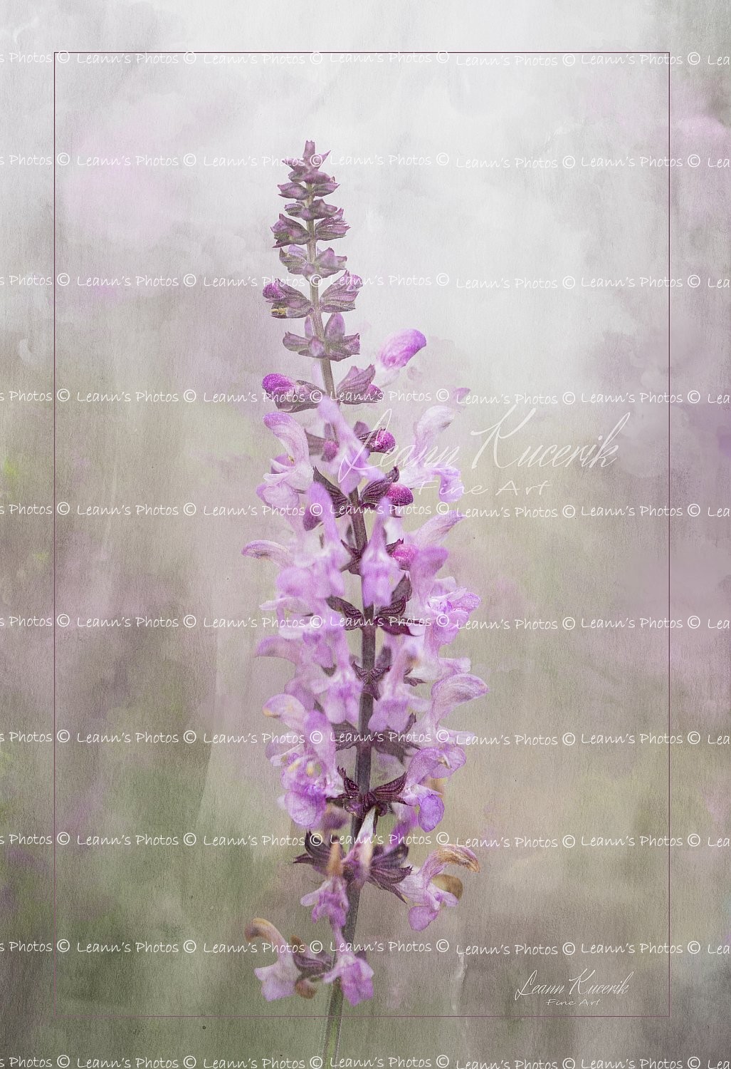 Simply Summer Sprig - Rose Salvia