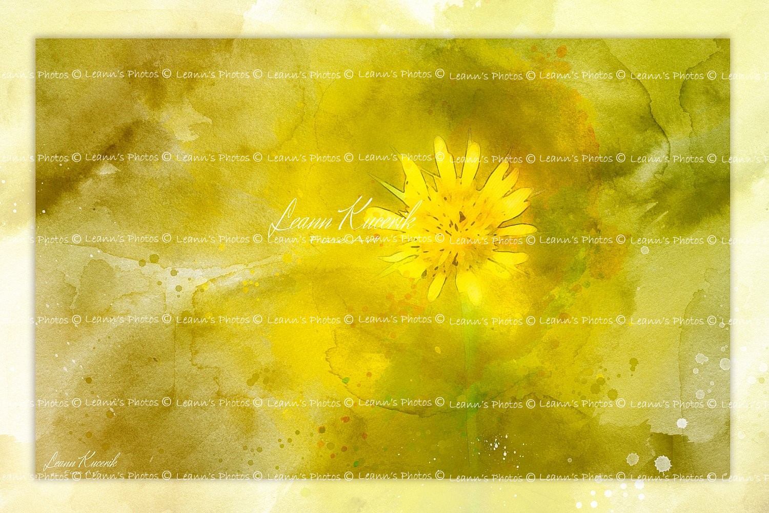 Floral Sunshine Burst