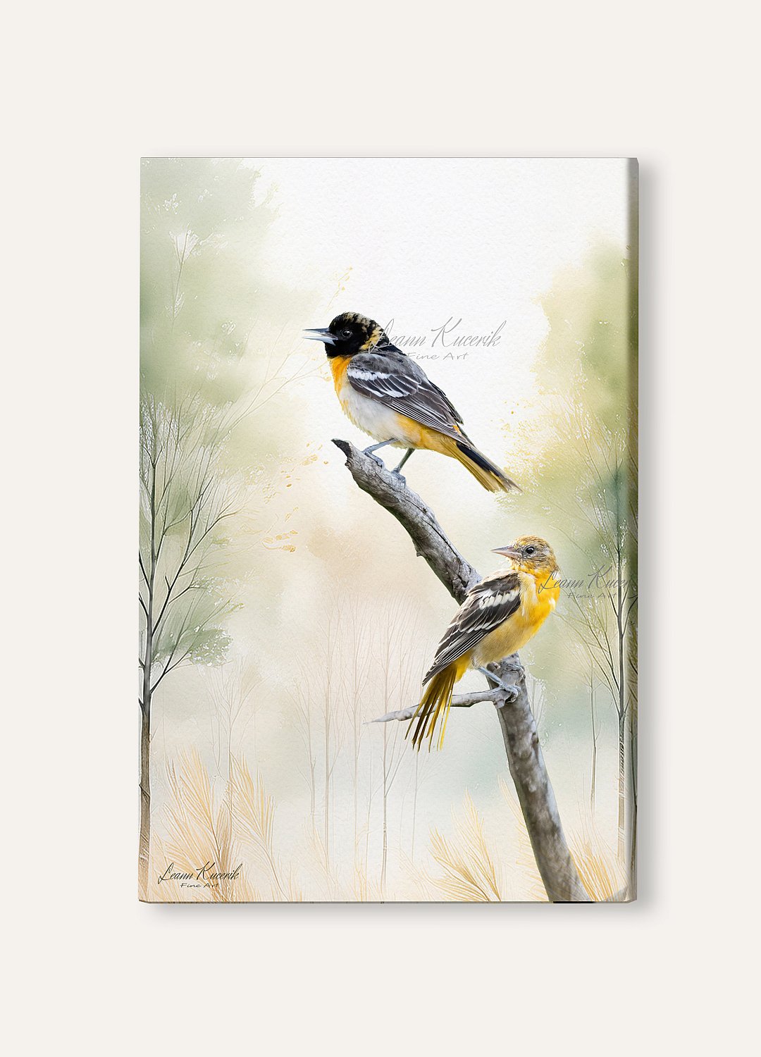 ORIOLE LOVERS | Oriole_Lovers_wall.jpg