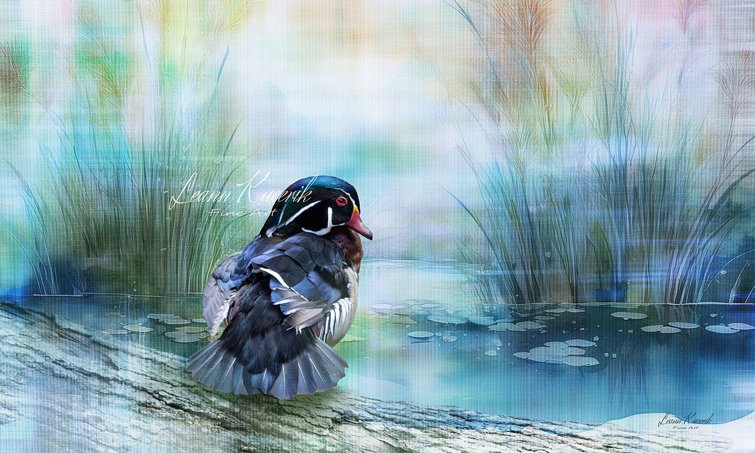WOODY the WOOD DUCK | Wood_Duck_Art_w_wc_background_12x20_ONLINE.jpg