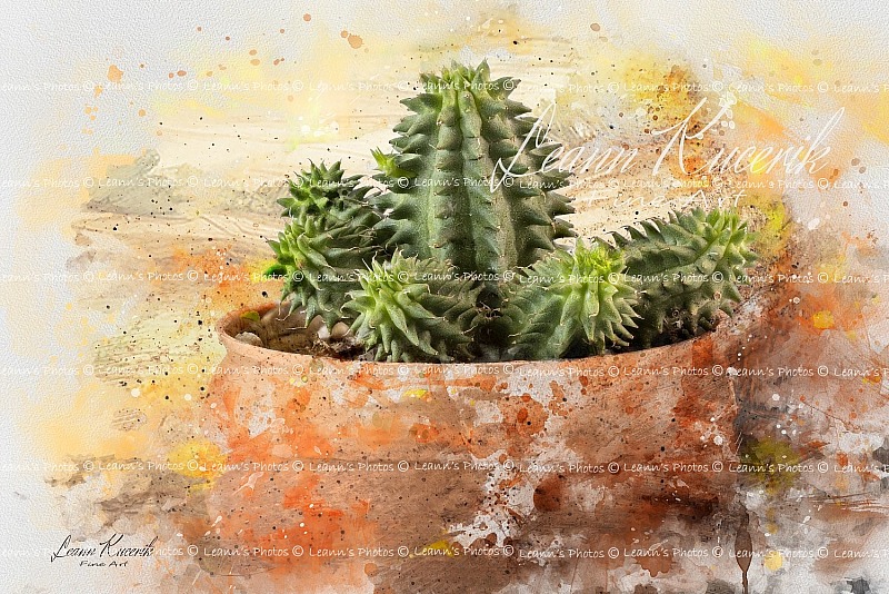 Succulant Sass