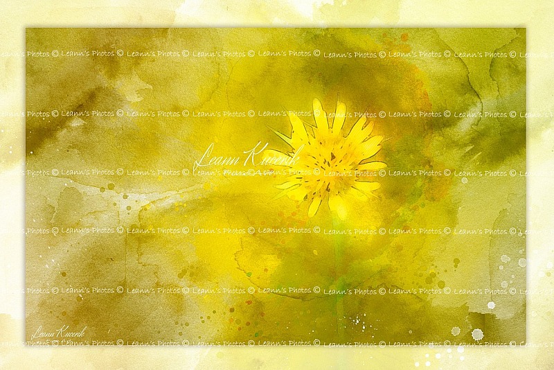 Floral Sunshine Burst