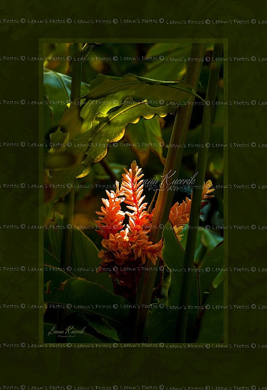 Botanical & Earthy