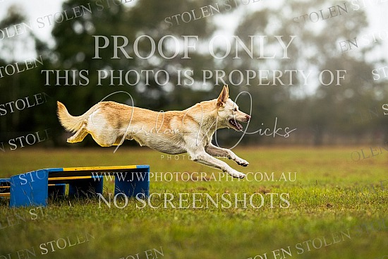 TOADS Sessions - Michelle