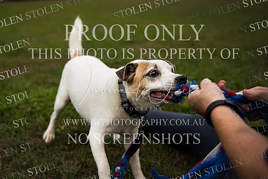 TOADS Sessions - Leisa