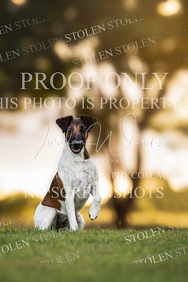 TOADS Sessions - Catherine