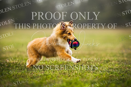 TOADS Sessions - Lauren