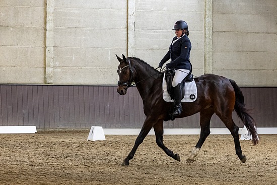 Winter Dressage Tour - HC Moervelden 22-10-2023