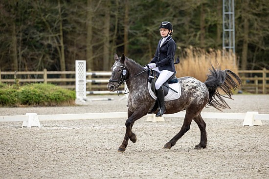 Winter Dressage Tour - De Kraal 4-2-2024