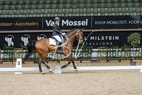 Winter Dressage Tour - Azelhof 10-03-2024