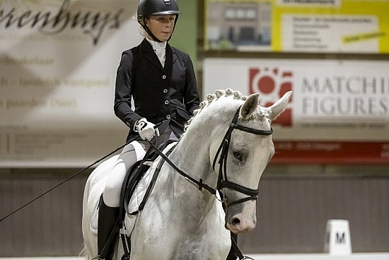 Winter Dressage Tour - Horsehotel 12-11-2023