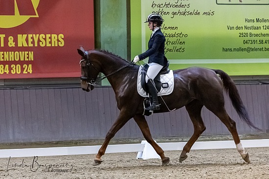 Winter Dressage Tour - HC Moervelden 19102025