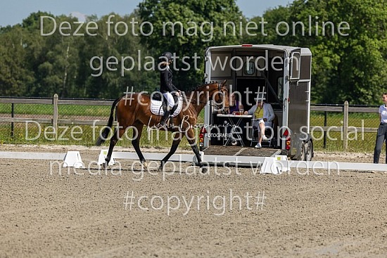 Dressuurwedstrijd W-Stables 23 juni 2024