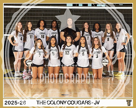JV