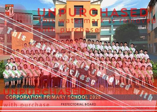 Corporation Primary School - Prefectorial Board 2025