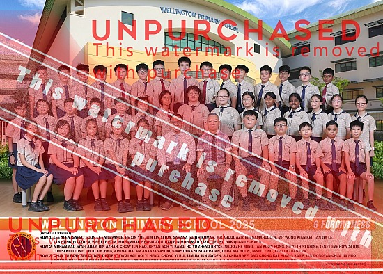 Wellington Primary School - Class 2025