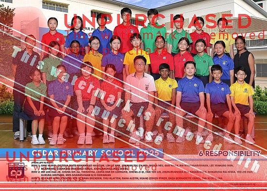 Cedar Primary School - Class 2025