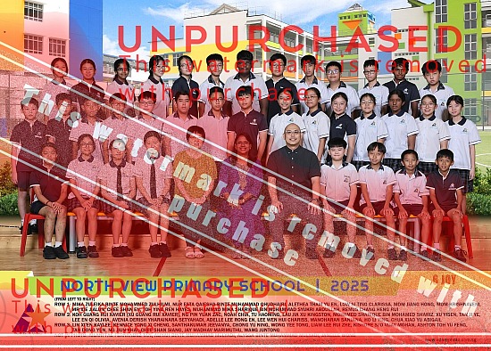 North View Primary School 2025