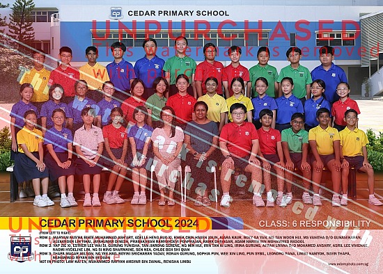 Cedar Primary School 2024 - Class 2024