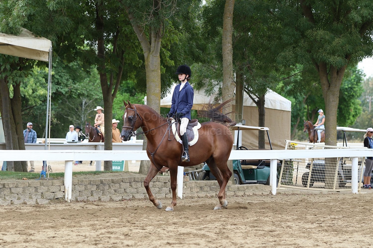 Class 91 A/HA/AA Hunter Seat Equitation Not to Jump 1114 2023 DAHA