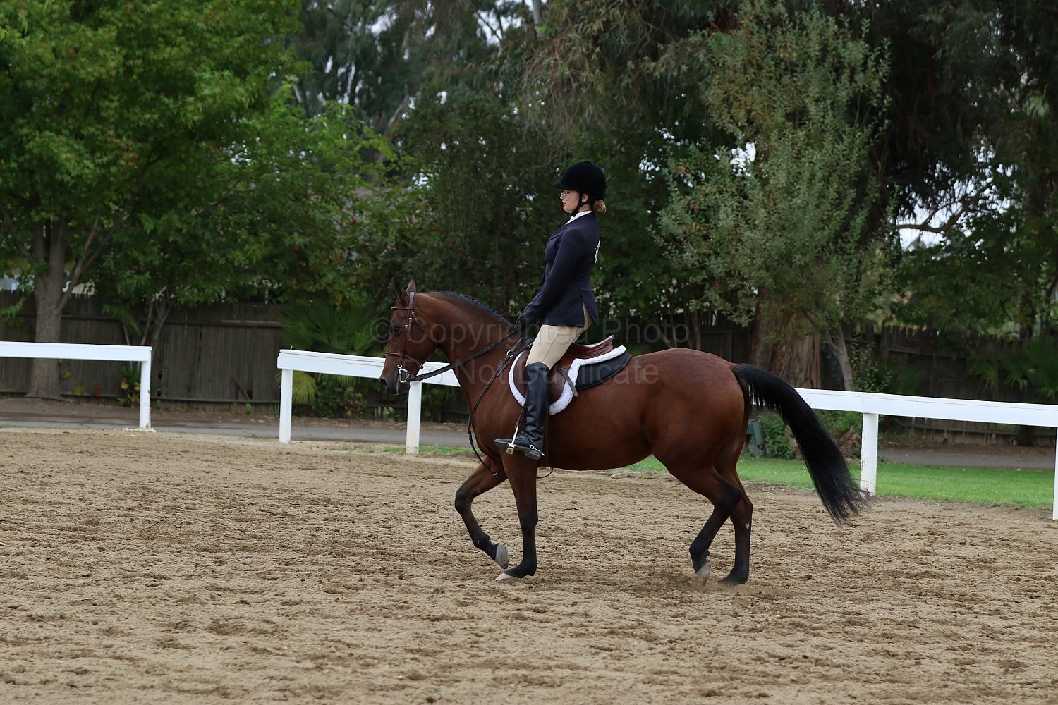 Class 92 A/HA/AA Hunter Seat Equitation Not to Jump 1518 2023 DAHA