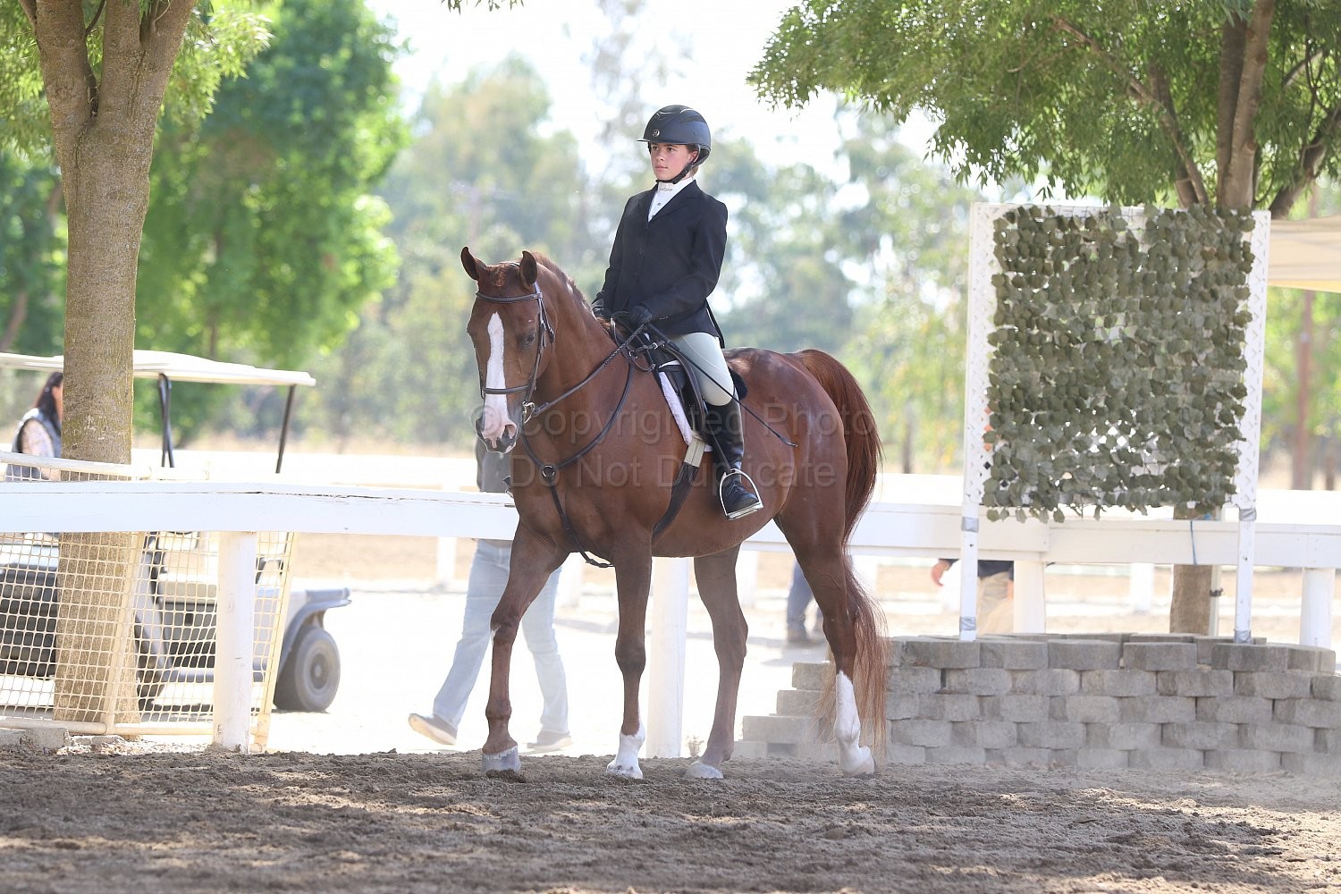 Class 100 A/HA/AA Hunter Seat/Saddle Seat Eq Walk/Trot 10 & Under