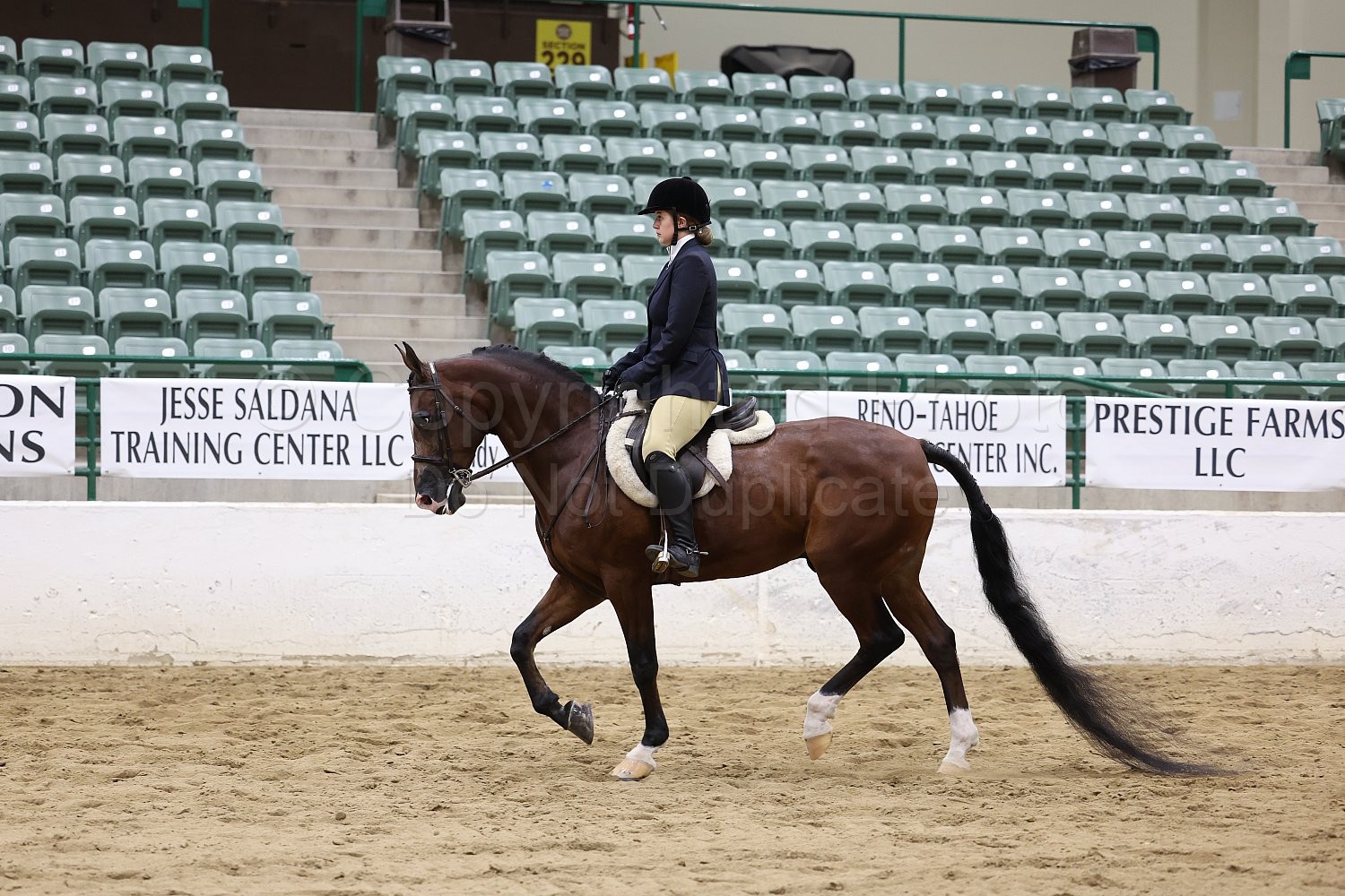 Class 300 Reg III HUNTER SEAT EQUITATION NOT TO JUMP CHAMPIONSHIP JTR
