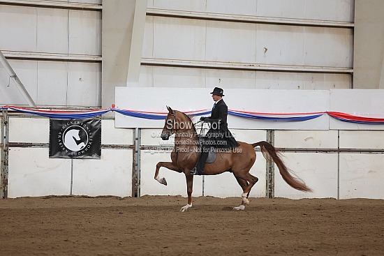 0507 Region 4 HA Country English Pleasure Futurity