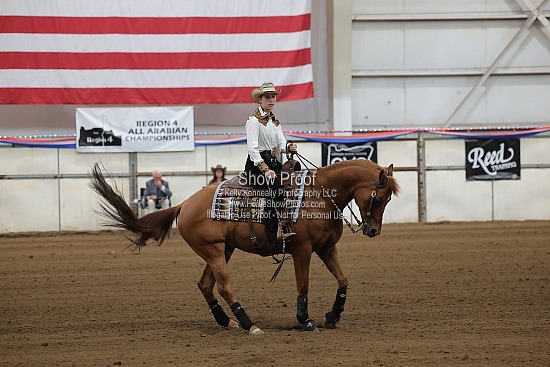 0545 Region 4 HA Reining Horse JTR 18 & Under