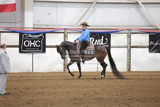 0487 HA Western Pleasure AOTR Futurity
