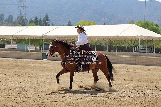 2)Ranch Rail