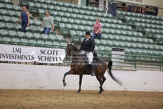Class 297 HA Show Hack Championship