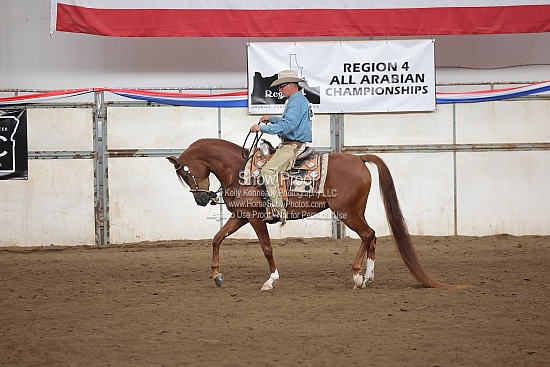 0452 HA Western Pleasure Futurity