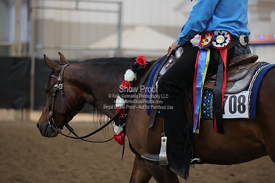 0446 Region 4 HA Reining Jr Horse