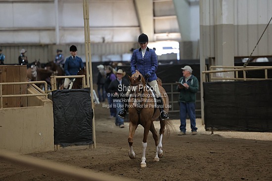 0436 Region 4 Arabian Hunter Pleasure ATR Select