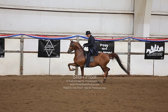 0454 Region 4 HA Country English Pleasure Jr Horse