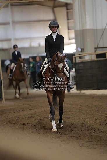 0532 Region 4 Hunter Seat Equitation NTJ JTR
