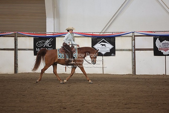 0565 Region 4 Arabian Ranch Horse Rail Pleasure
