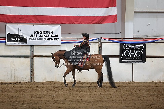 0537 Region 4 Arabian Ladies Side Saddle Western