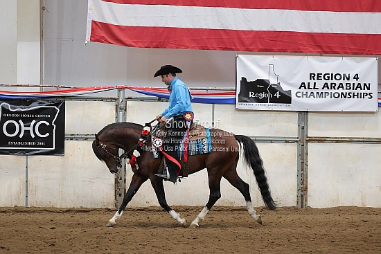 0441 Region 4 Arabian Ranch Rail Pleasure Jr Horse