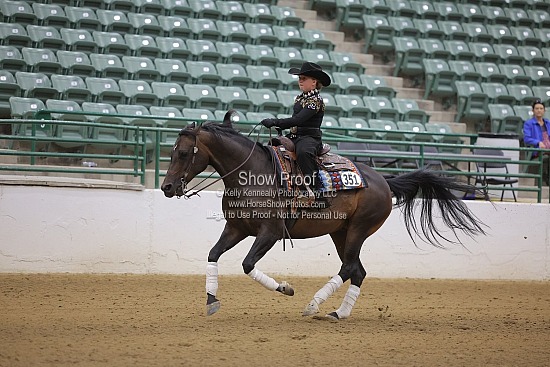 3) Saturday - Reining