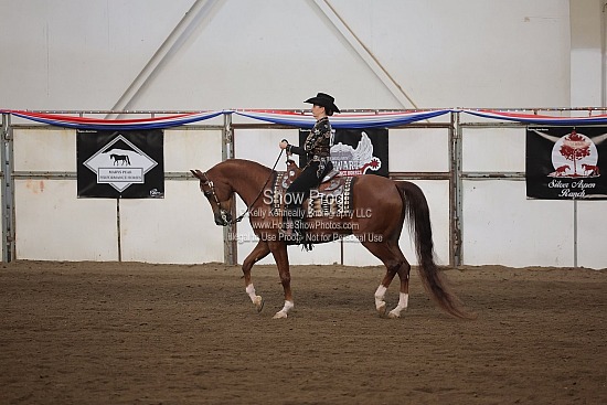 0566 Region 4 HA Western Pleasure AAOTR