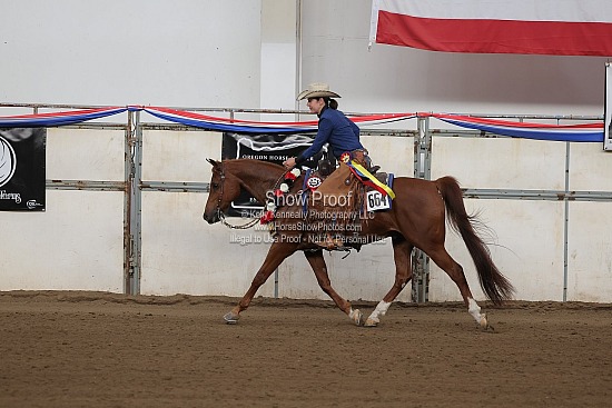 0463 Region 4 Arabian Ranch Horse Riding AATR 19-49