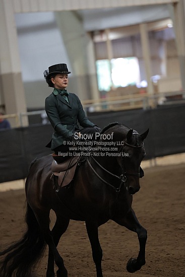0533 Region 4 HA Ladies Side Saddle English/Western ATR