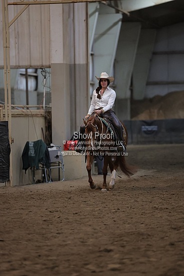 0429 Region 4 HA Arabian Ranch Horse Rail Pleasure AATR 19-49