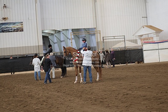 0551 Region 4 Walk/Trot Hunter Pleasure 10 & Under