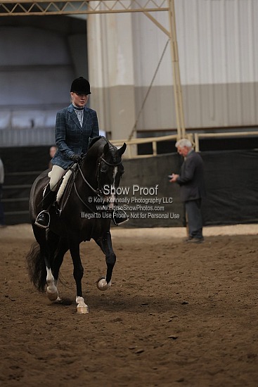 0508 Region 4 HA Hunter Pleasure JTR 18 & Under
